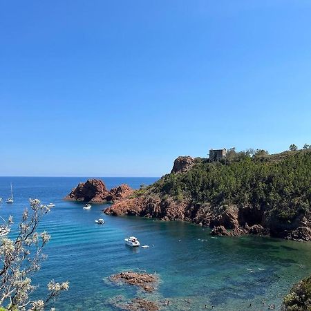 Appartement Avec Vue Mer Et Piscine Théoule-sur-Mer Eksteriør bilde