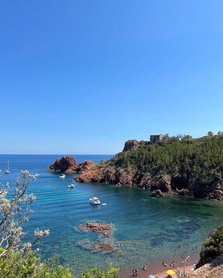Appartement Avec Vue Mer Et Piscine Théoule-sur-Mer Eksteriør bilde